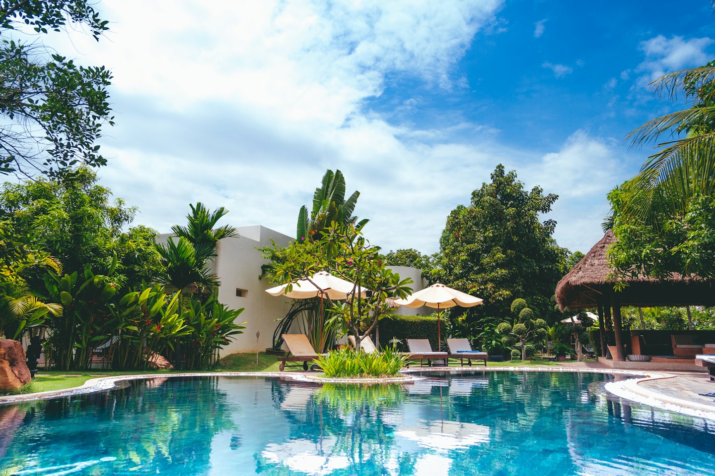 Outdoor pool area with tropical plants and lounge chairs.